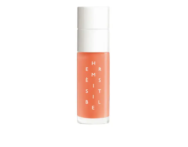 エルメスジャポン　 エルメジスティブル 01