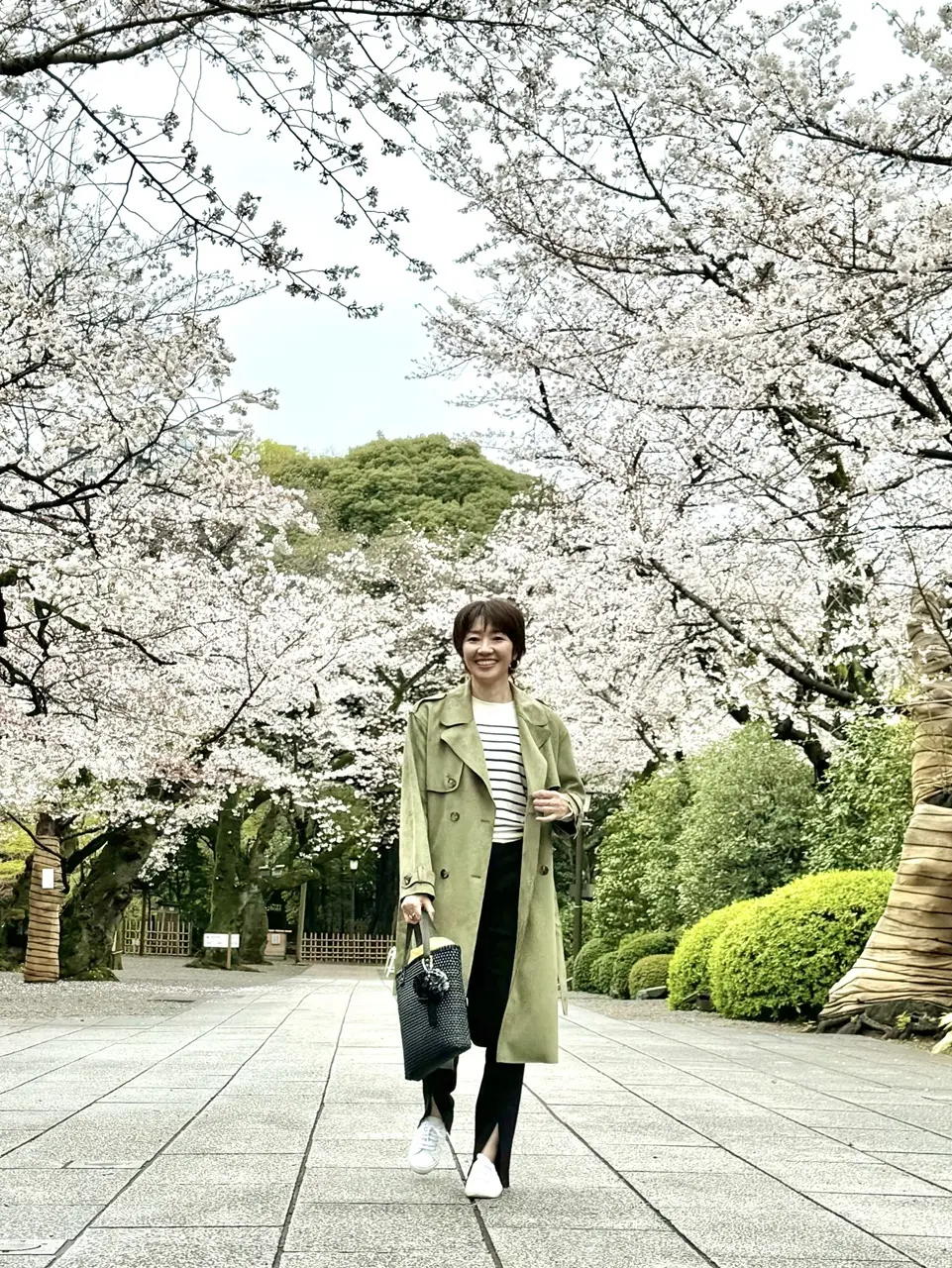 靖国神社の桜 ⑧