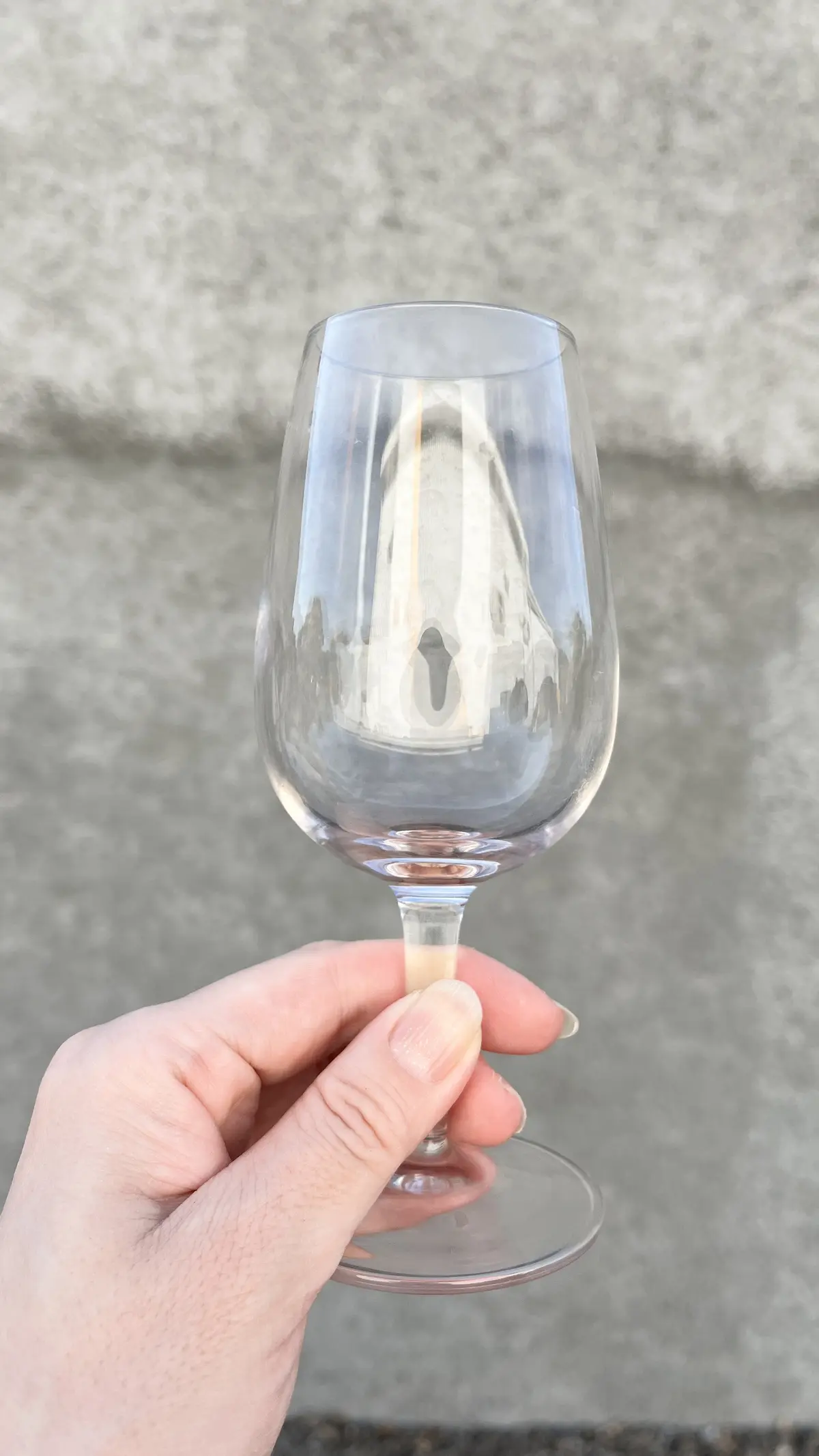 世界に誇る超人気ワイナリーでワイン用ぶどの画像_9