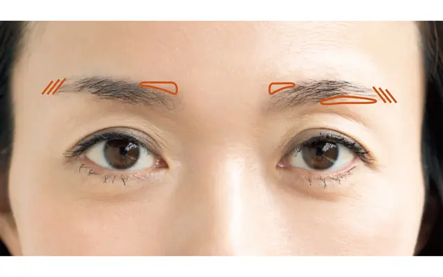 眉メイクの設計図