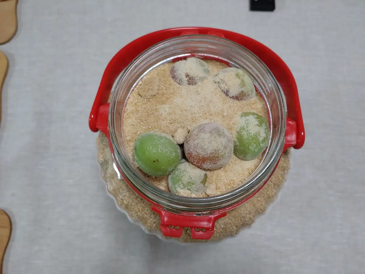 梅　発酵梅シロップ　甜菜糖　発酵食品