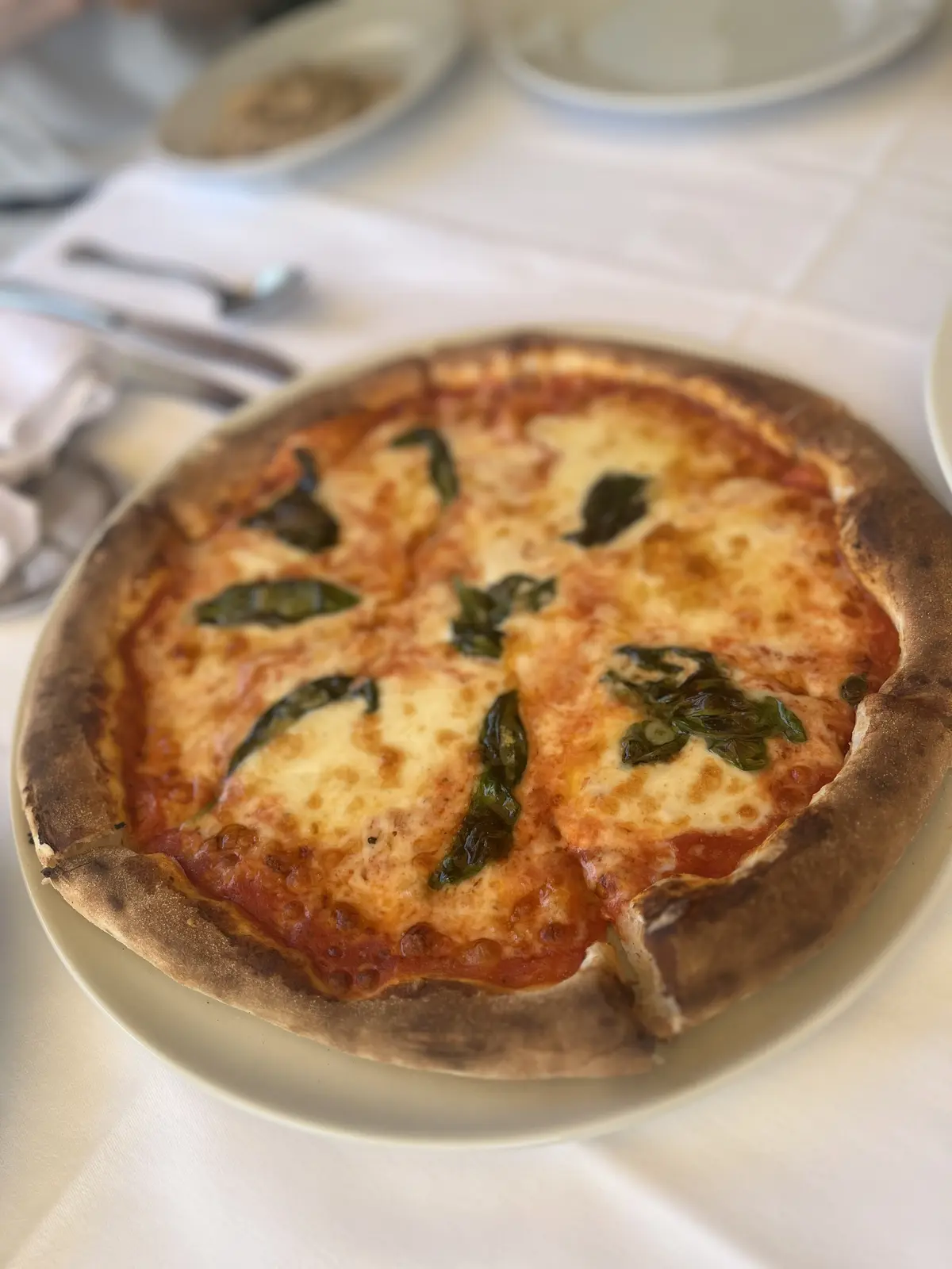 初夏にテラス席が最高のランチ＆オシャレなの画像_8