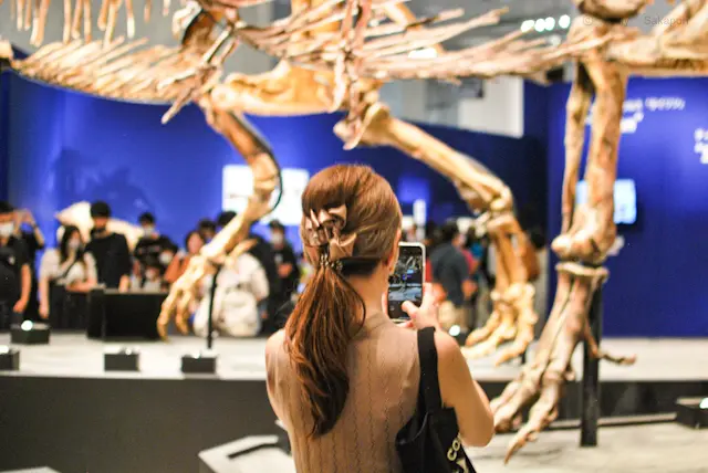 【さかぽんの冒険】ダイナソー🦖に会いに上の画像_4