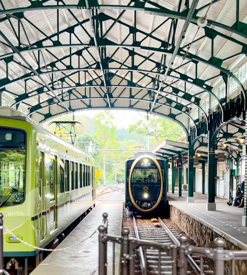 【京都】紅葉パトロール🍁瑠璃光院🍁秋の特の画像_3