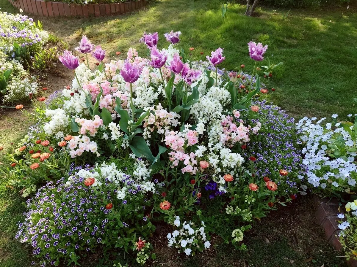 里山ガーデンフェスタ