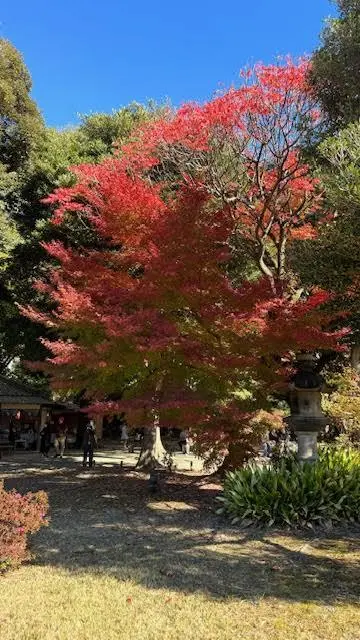 六義園