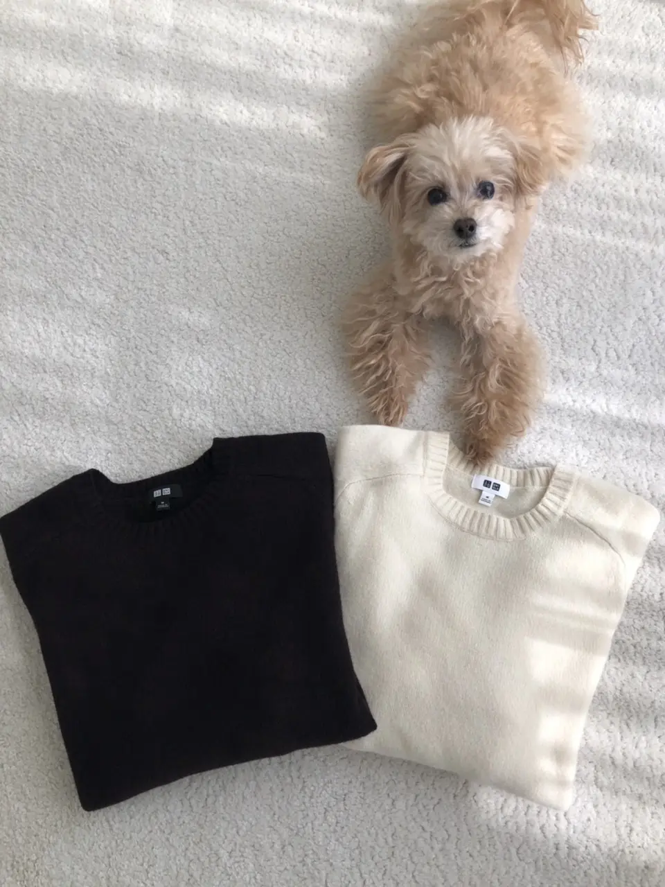 すっきり見えてゆるりと履けるUNIQLOの画像_3