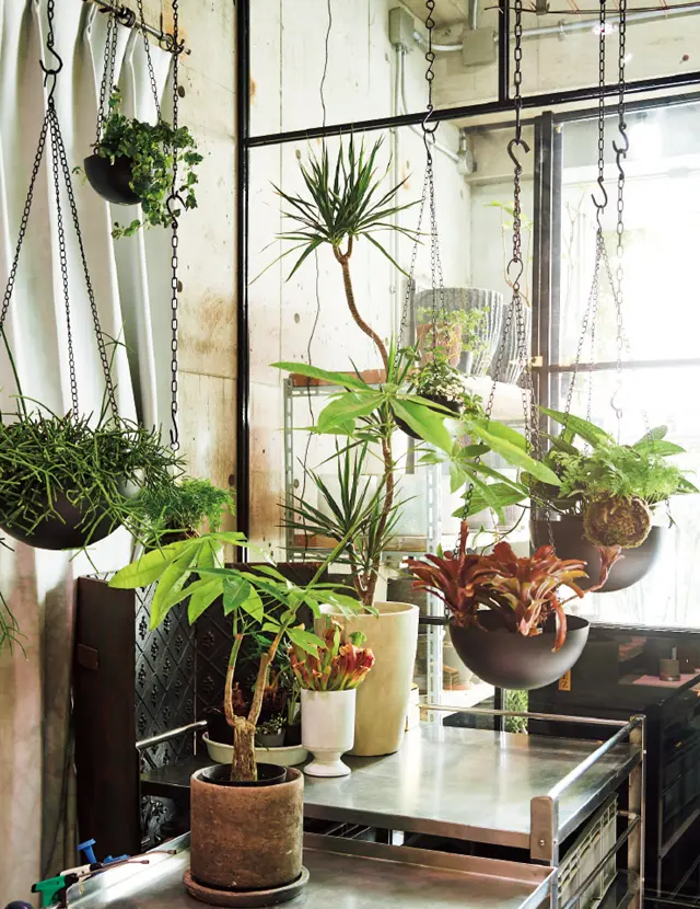 オリジナルの鉢はモルタル＆ファイバー素材で軽くサイズも豊富