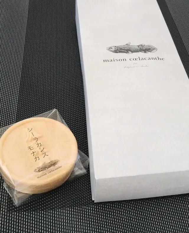 美味♡シーラカンスモナカはお味もネーミンの画像_4