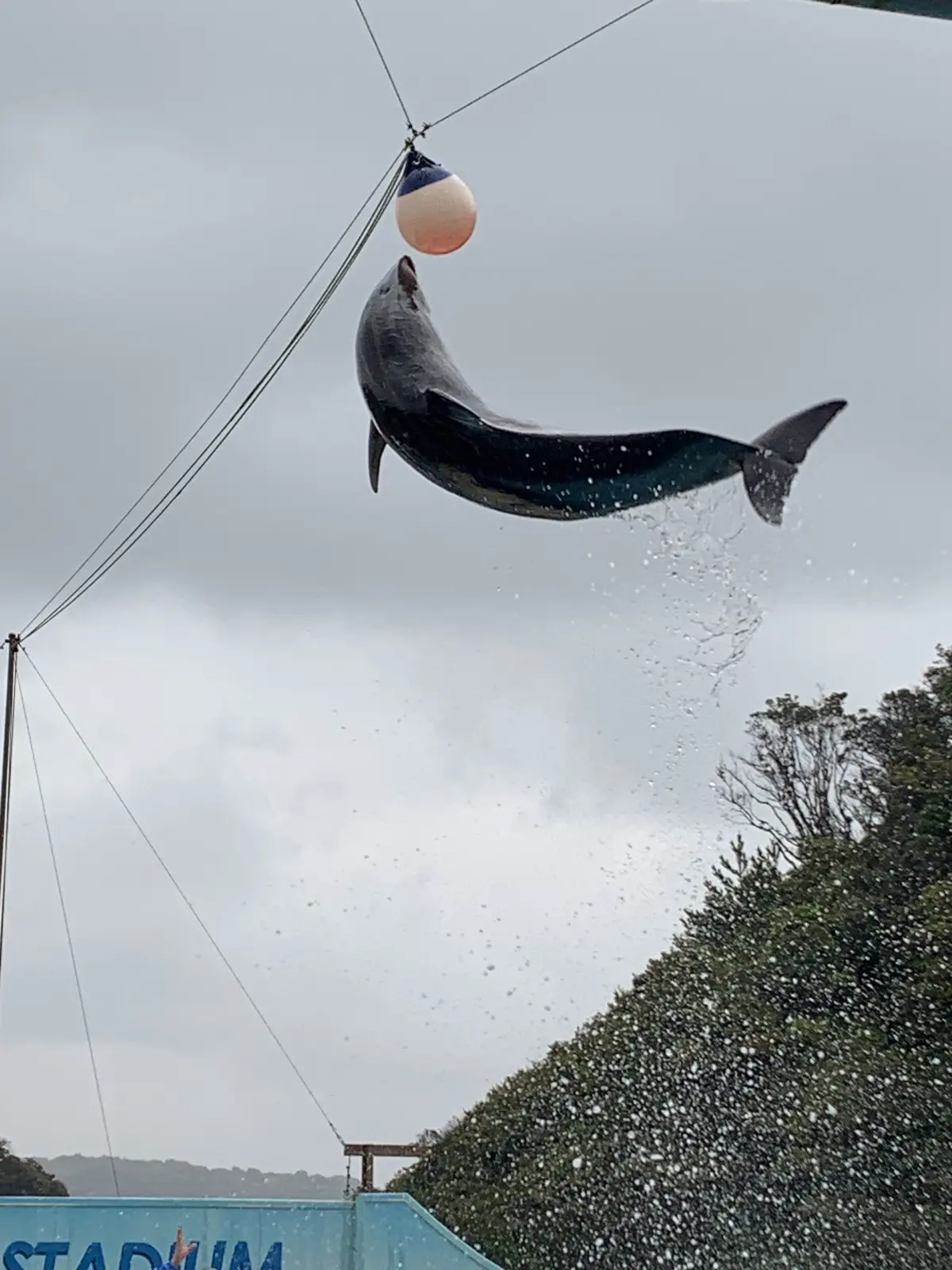 今年の春旅はハリウッド女優もお忍びで訪れの画像_14