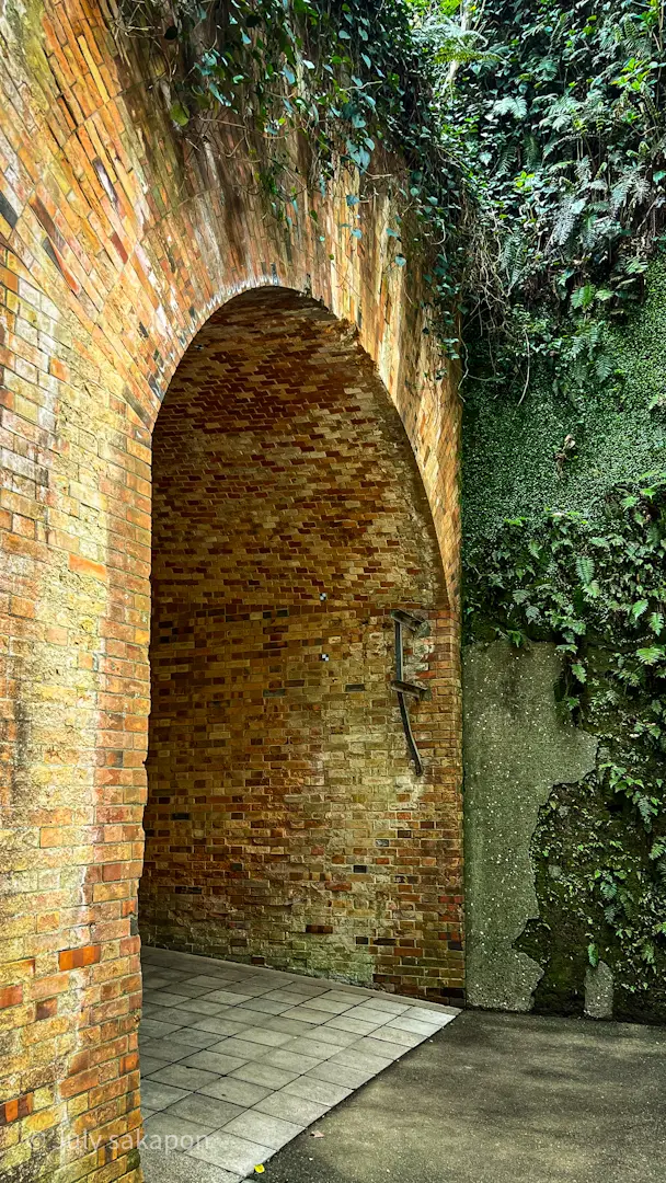 【さかぽんの冒険】前編☆無人島で奇跡のラの画像_24