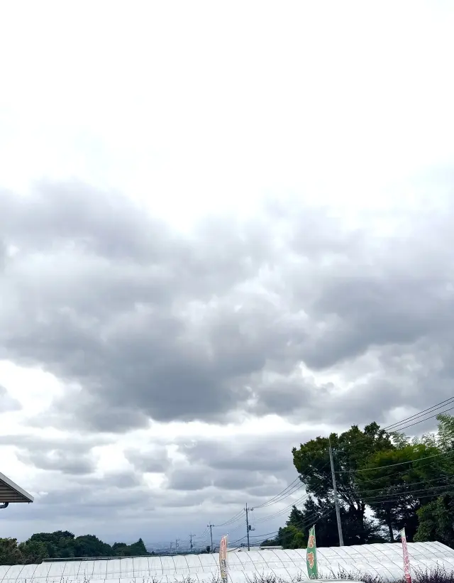 秋の贅沢時間シャインマスカット食べ放題のの画像_8