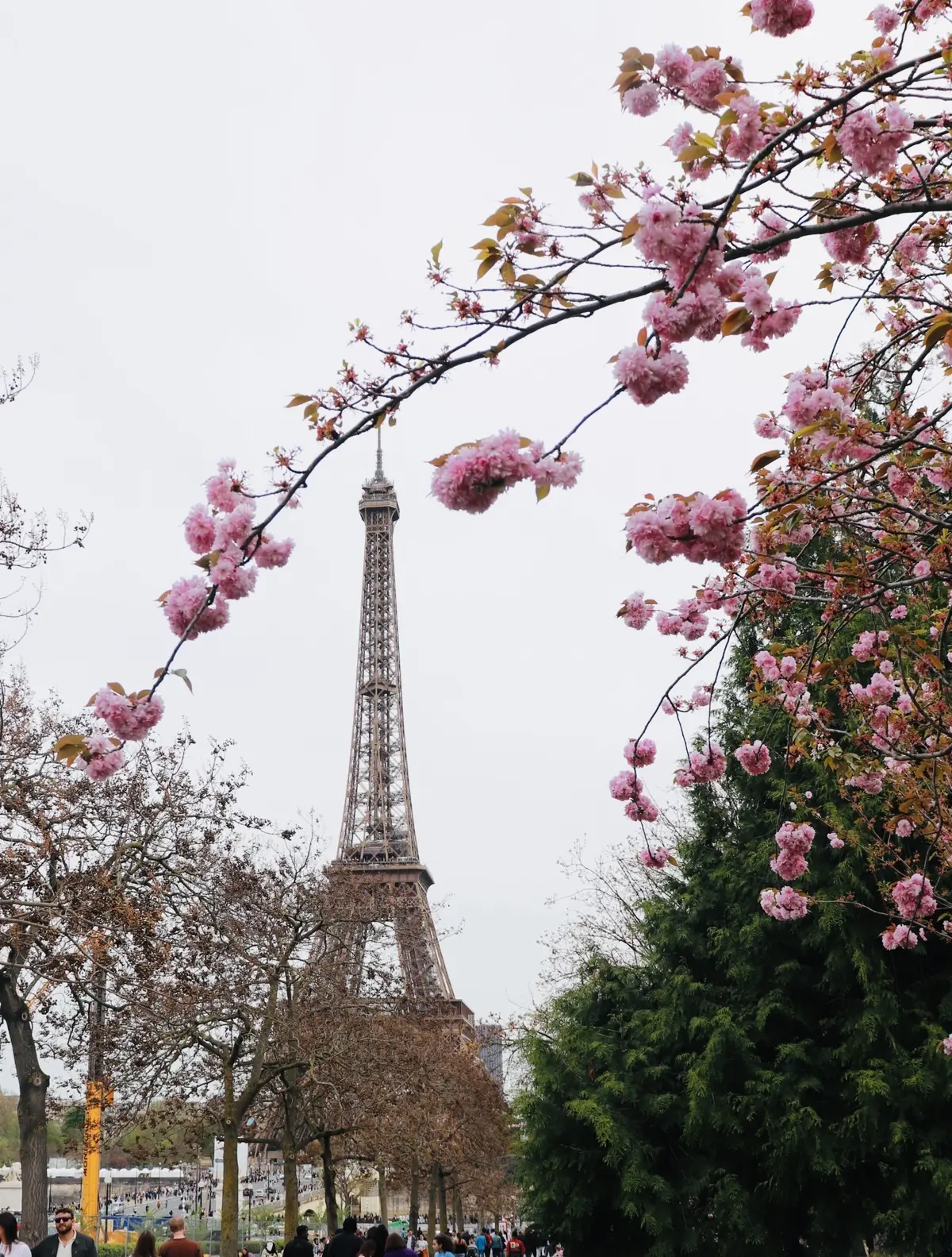 エッフェル塔　世界遺産　綺麗に見える