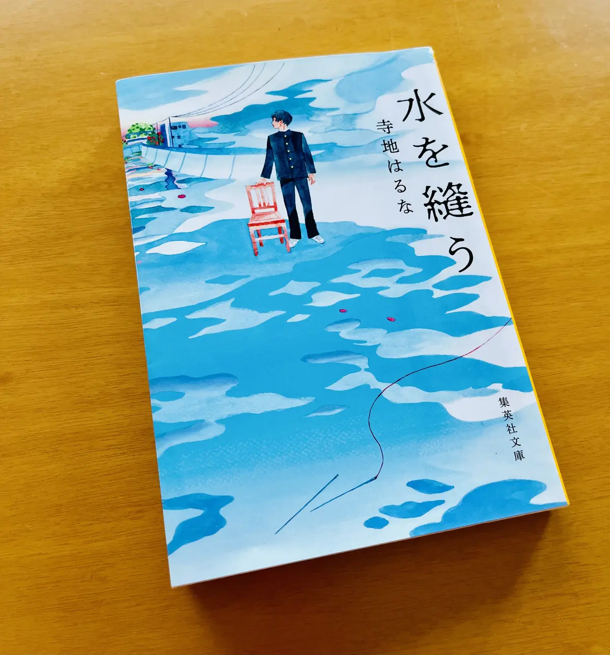 水を縫う　寺地はるな