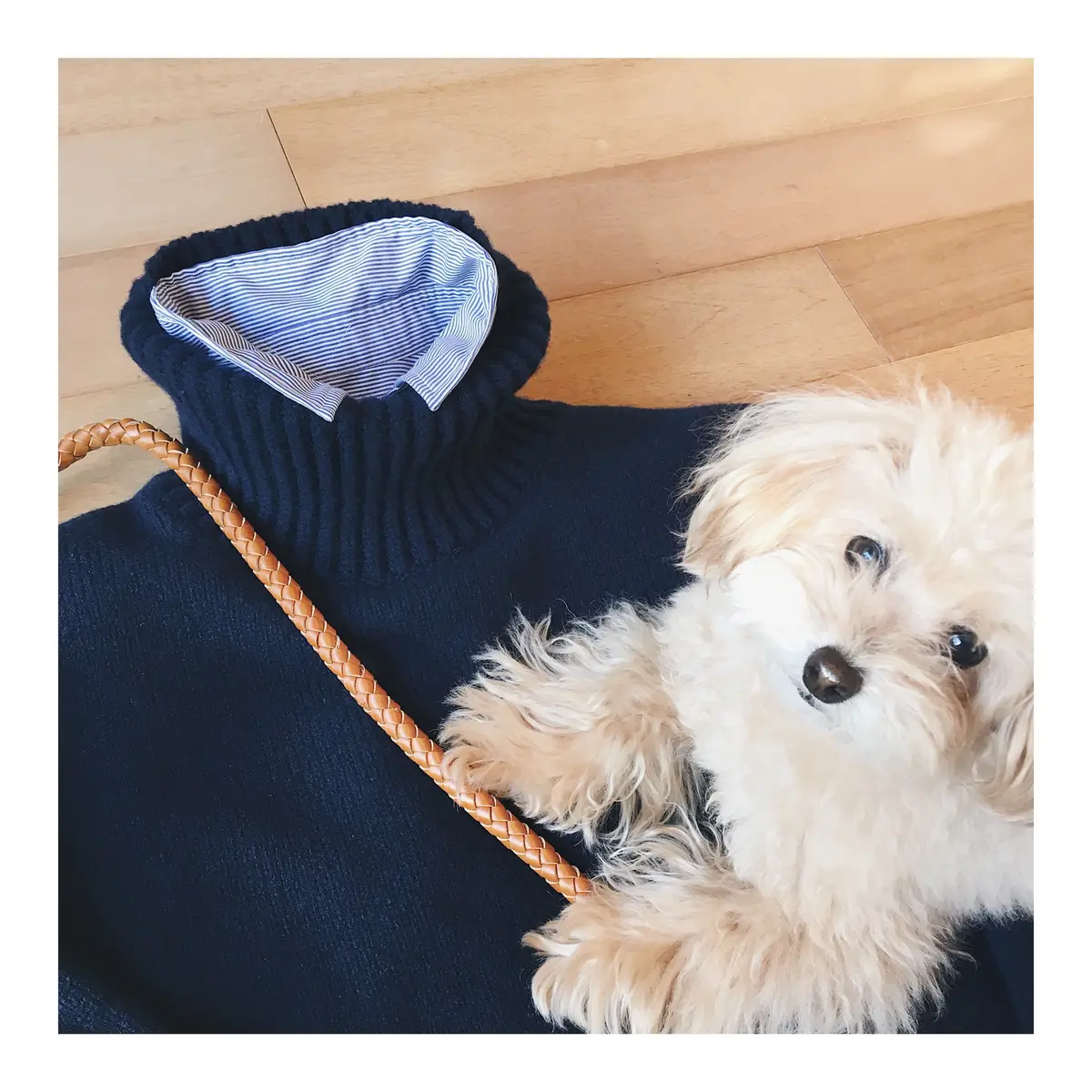 寒い日の重ね着コーディネイトの画像_2