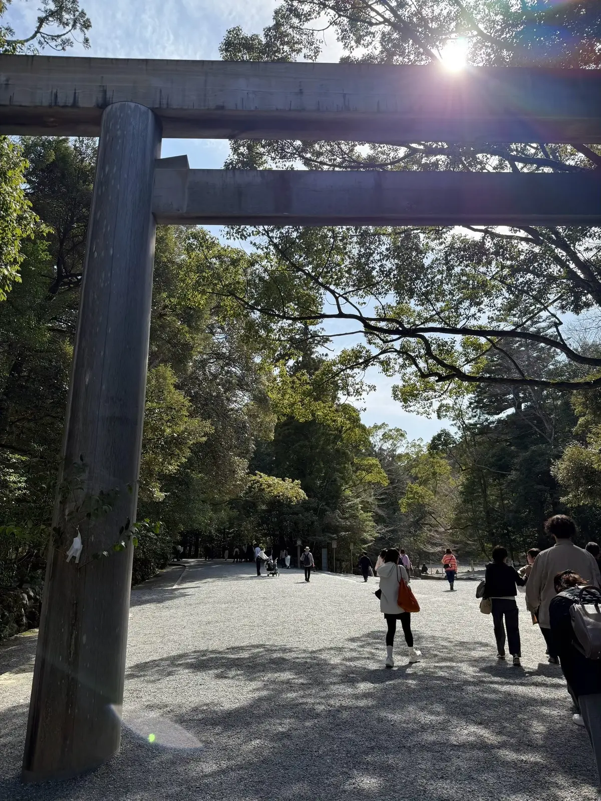【三重】伊勢神宮へ─大阪・東京・名古屋かの画像_10