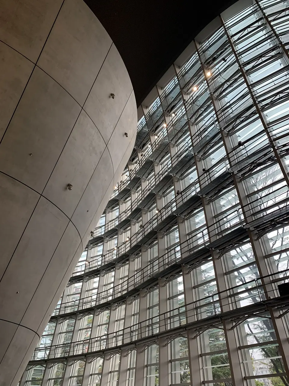 ２年ぶりの東京、桜ツアー　２日目①の画像_7