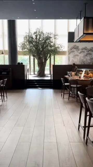 メルカート店内　大きなオリーブの木