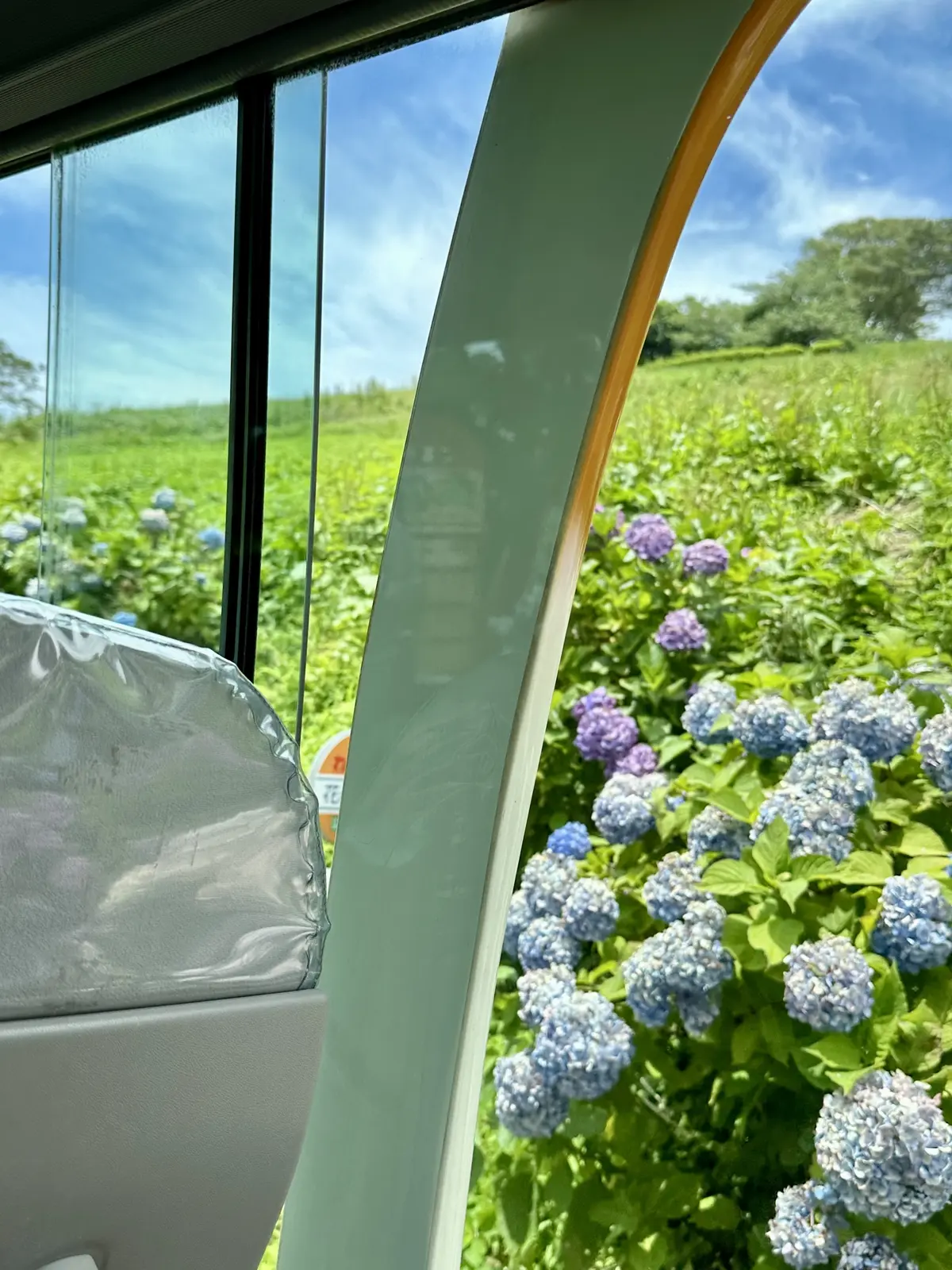 GUデニムで初夏の景色を楽しむお散歩へ♪の画像_22