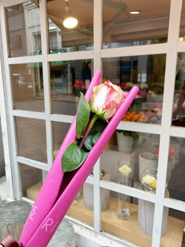 アフリカローズ