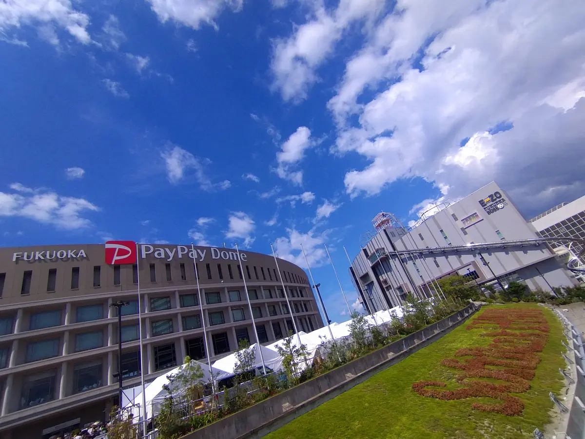 ドリカムワンダーランド2023in福岡！の画像_1