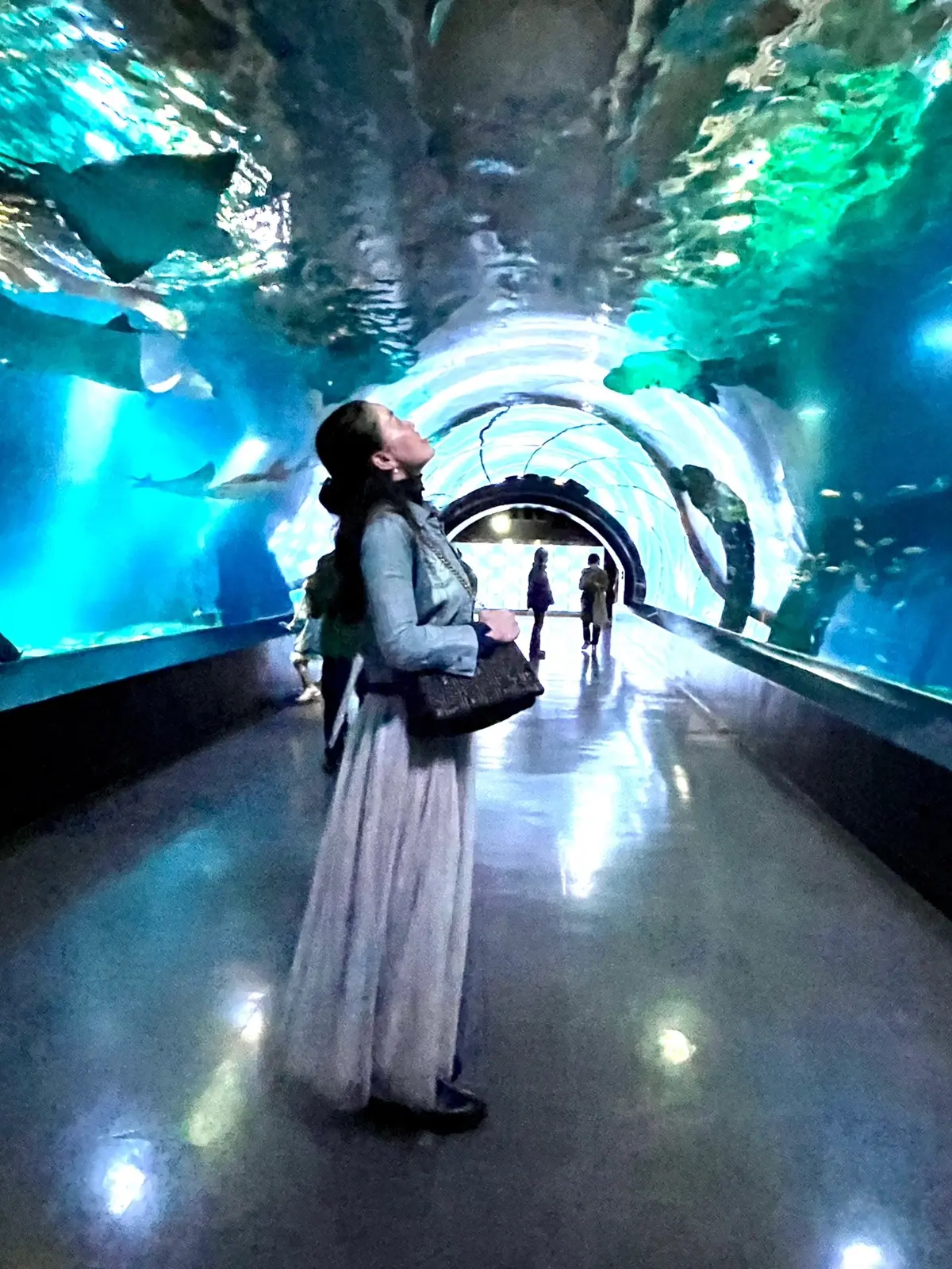 春のおすすめ♡大人の水族館デートの画像_3