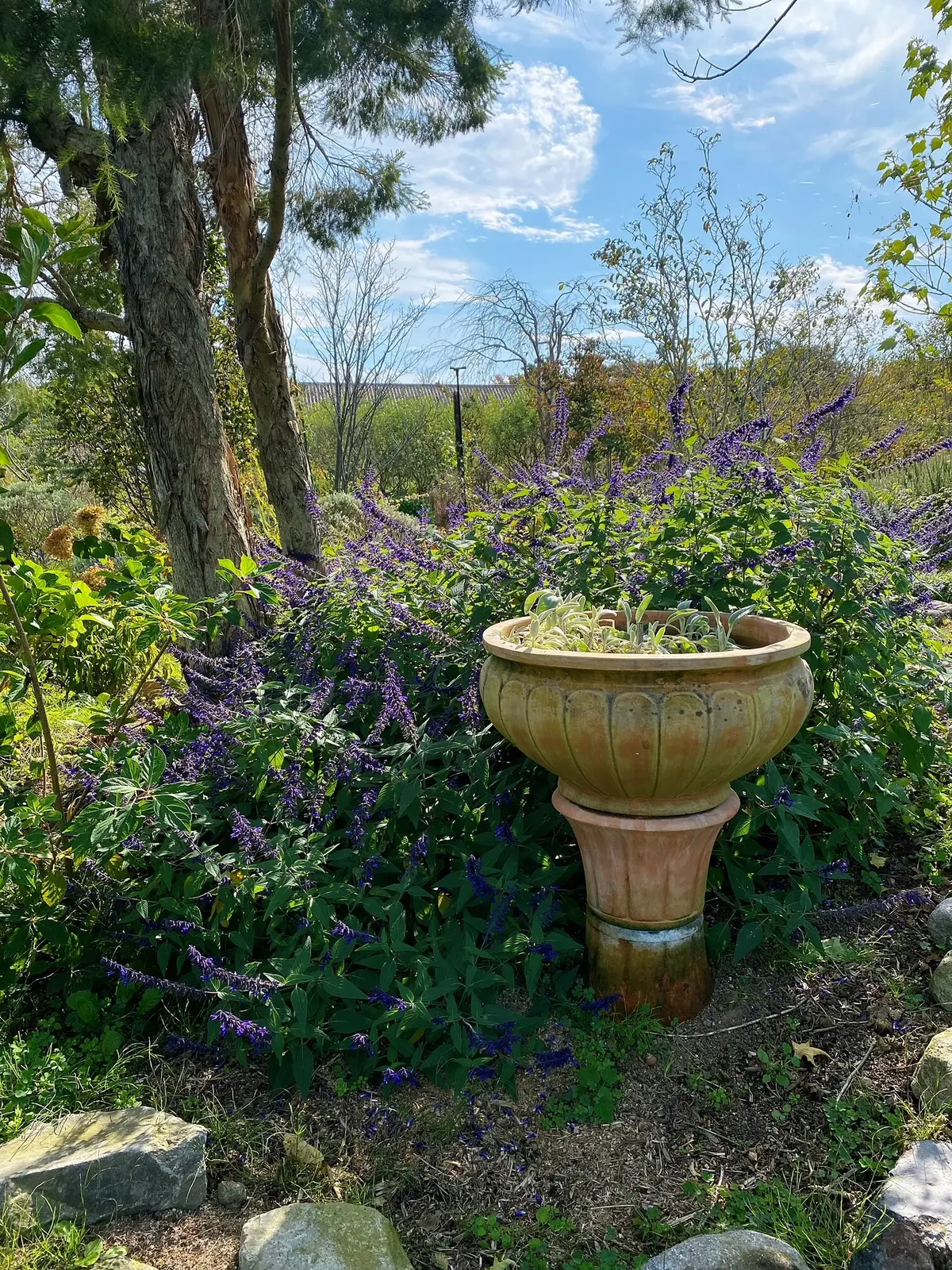 九州旅行　〜別府・美しい大神ファーム〜の画像_7