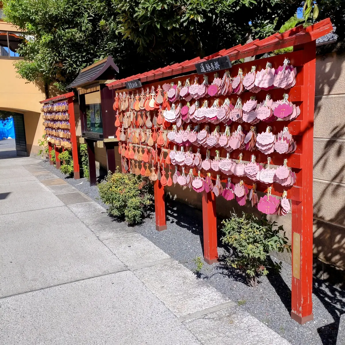 上野不忍池　蓮の花　弁天堂　辯天堂　上野恩賜公園