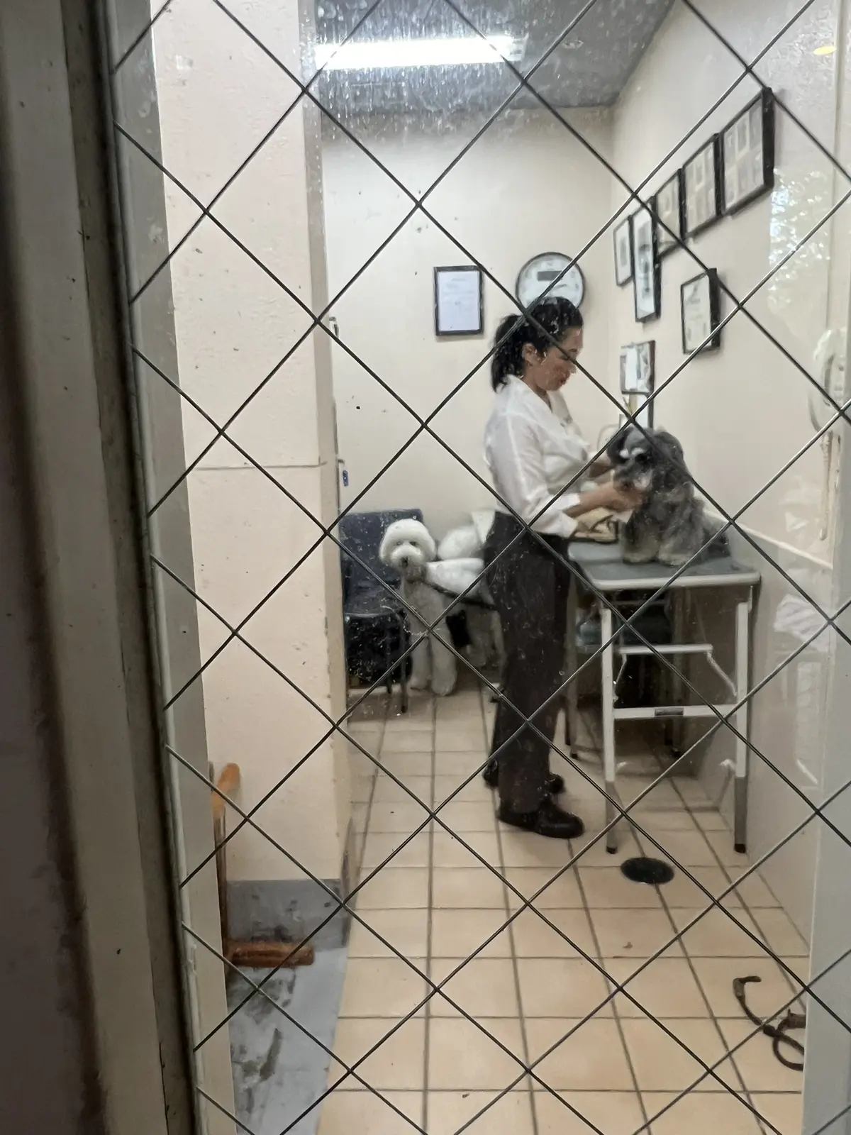 ハイアットリージェンシー箱根