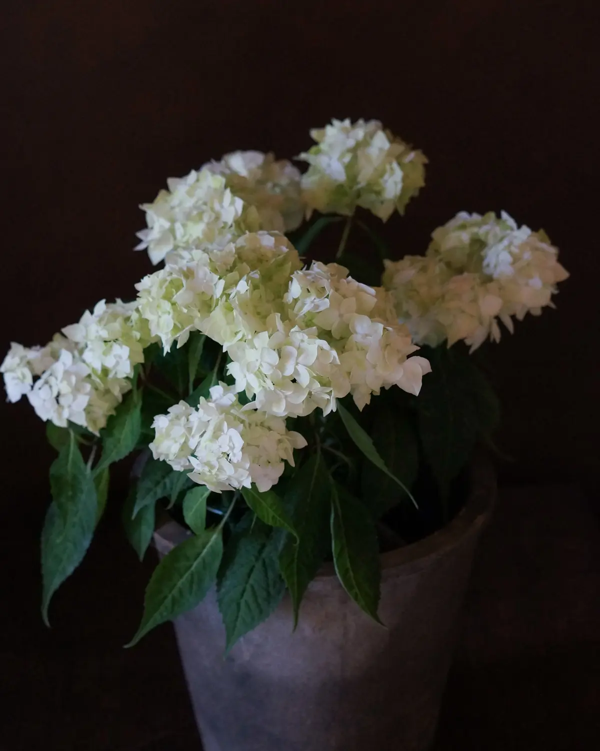 サンドイッチレシピあれこれの画像_6