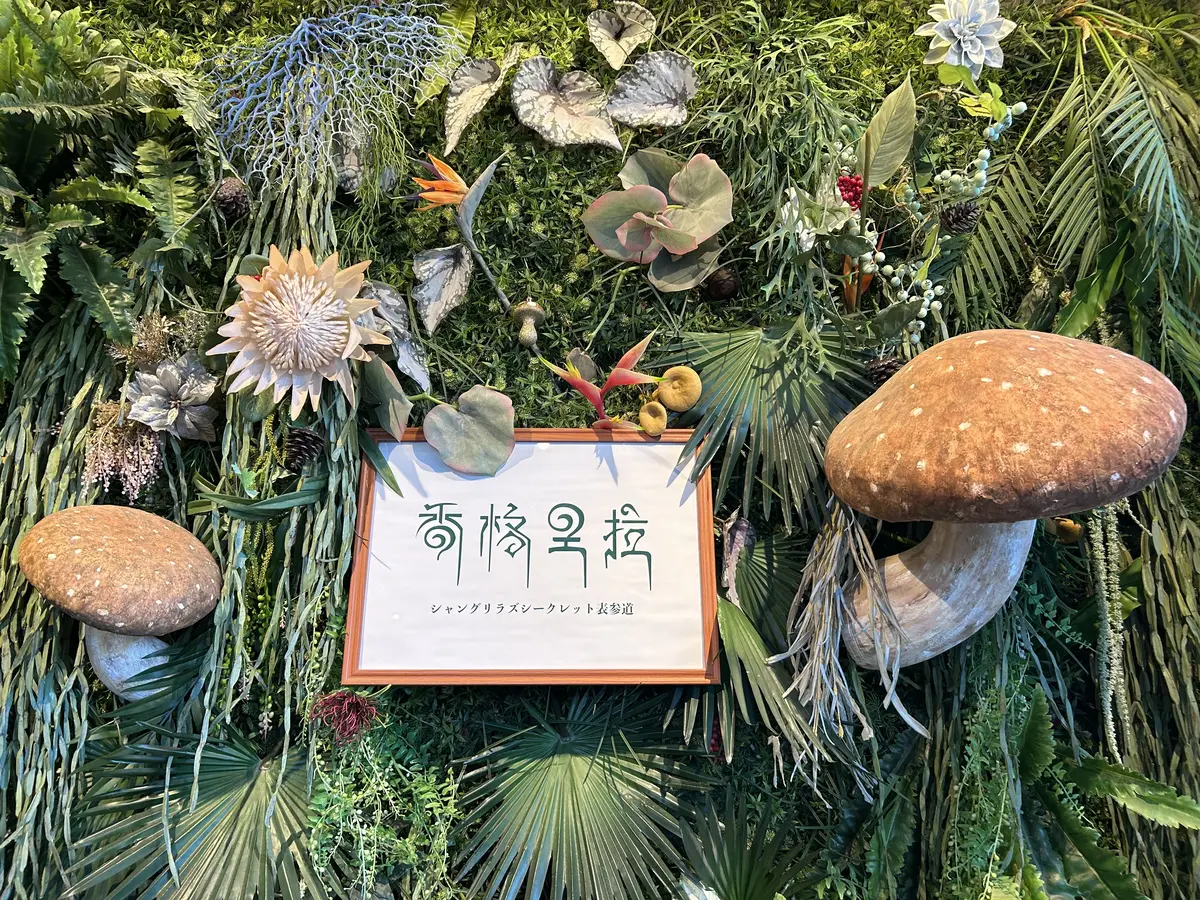 Jマダム同期でシャングリラズシークレットの画像_2