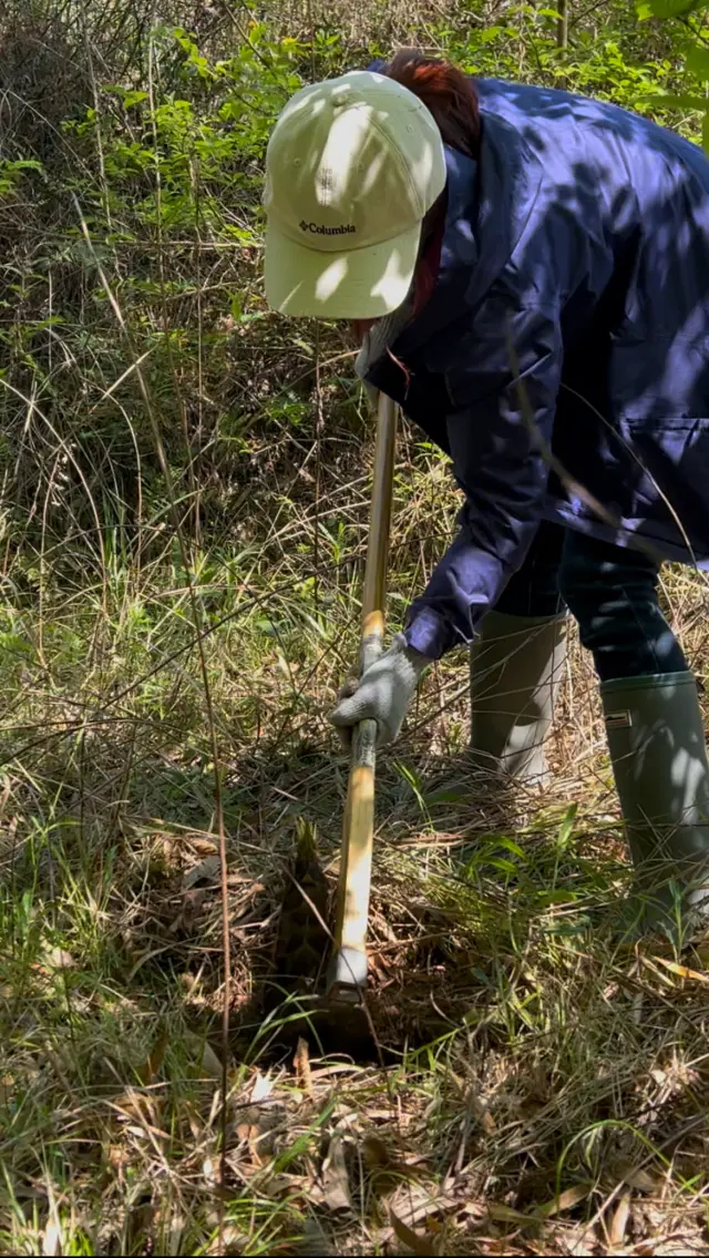 旬の恵みを求めて（G.Wパート1）の画像_8