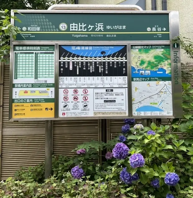 紫陽花☆お蕎麦☆6月の鎌倉さんぽの画像_2