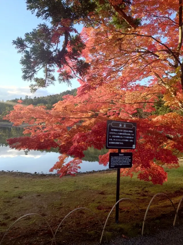 毛越寺の紅葉立て看板あり