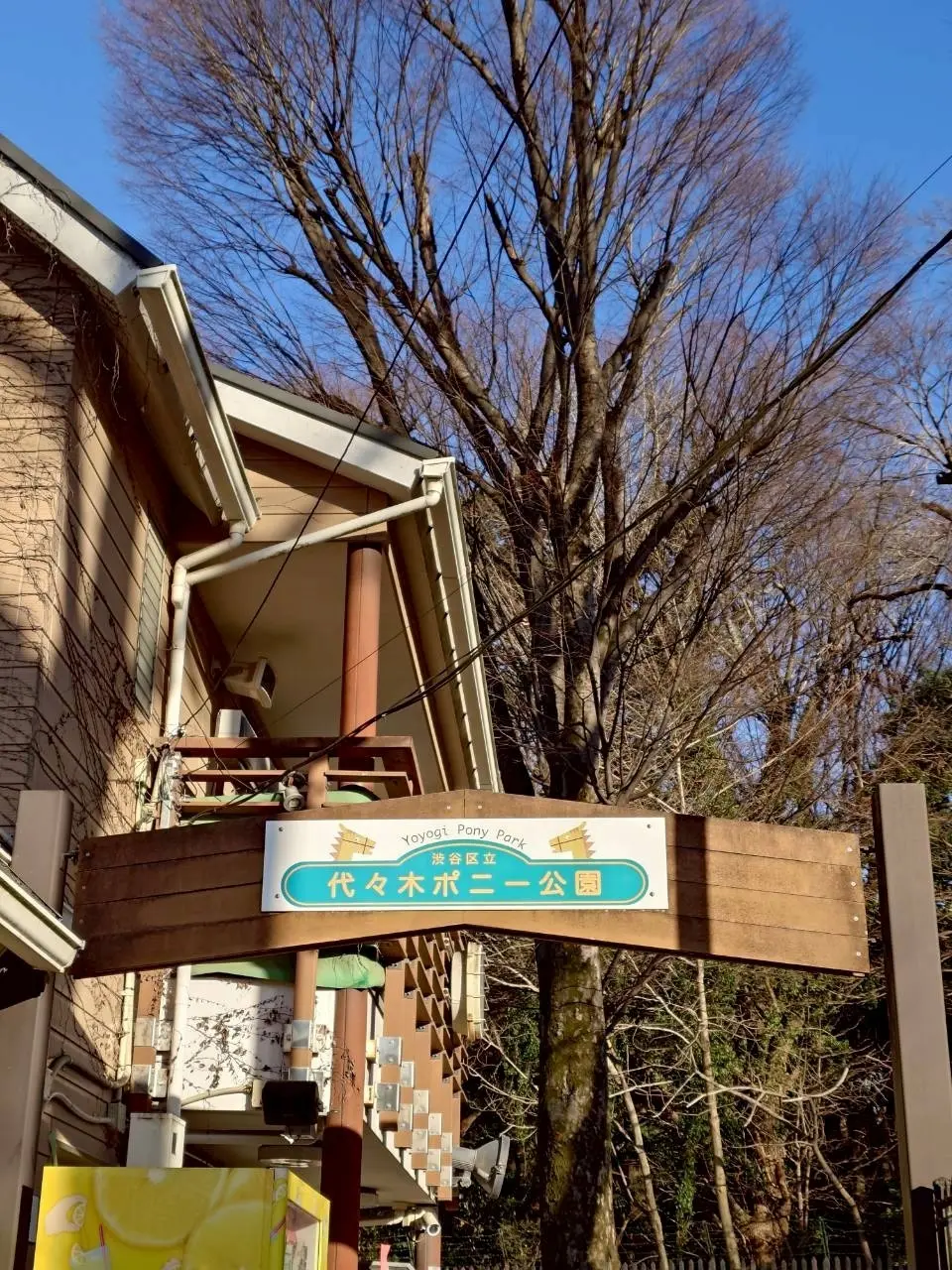 代々木ポニー公園