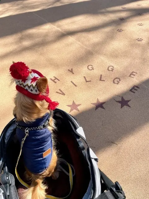 愛犬と一緒に楽しめるヒュッゲビレッジへ♡の画像_3