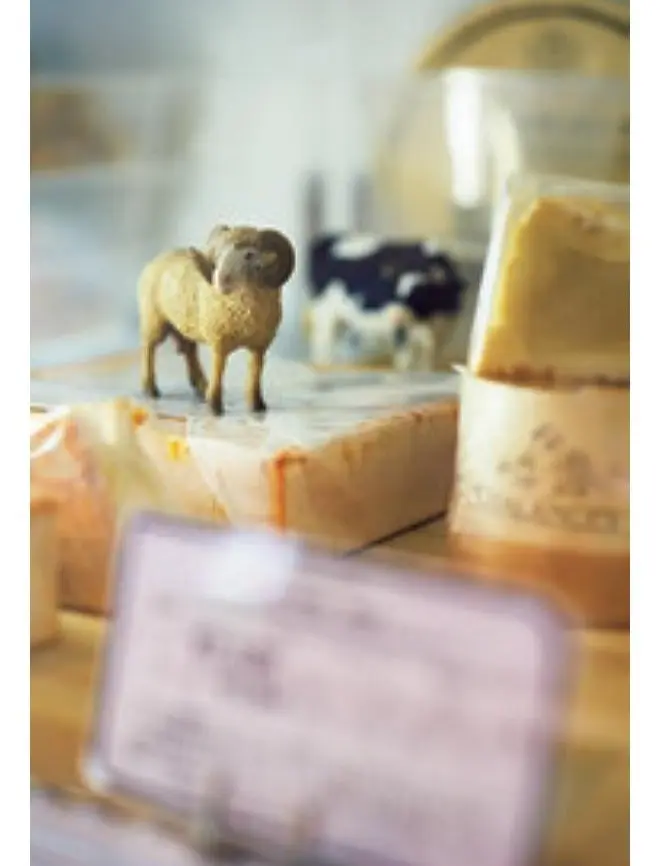 大人のひとり旅　美食　つくば　チーズショップ　ラ・マリニエール　産地や製法など商品情報を添えたディスプレイ