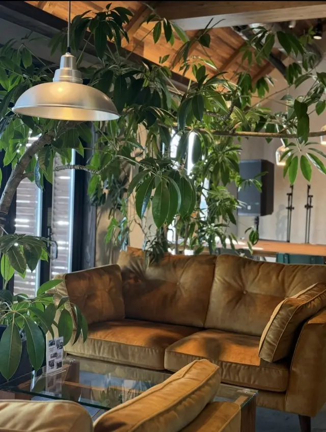 1000%の私の夏。の画像_3