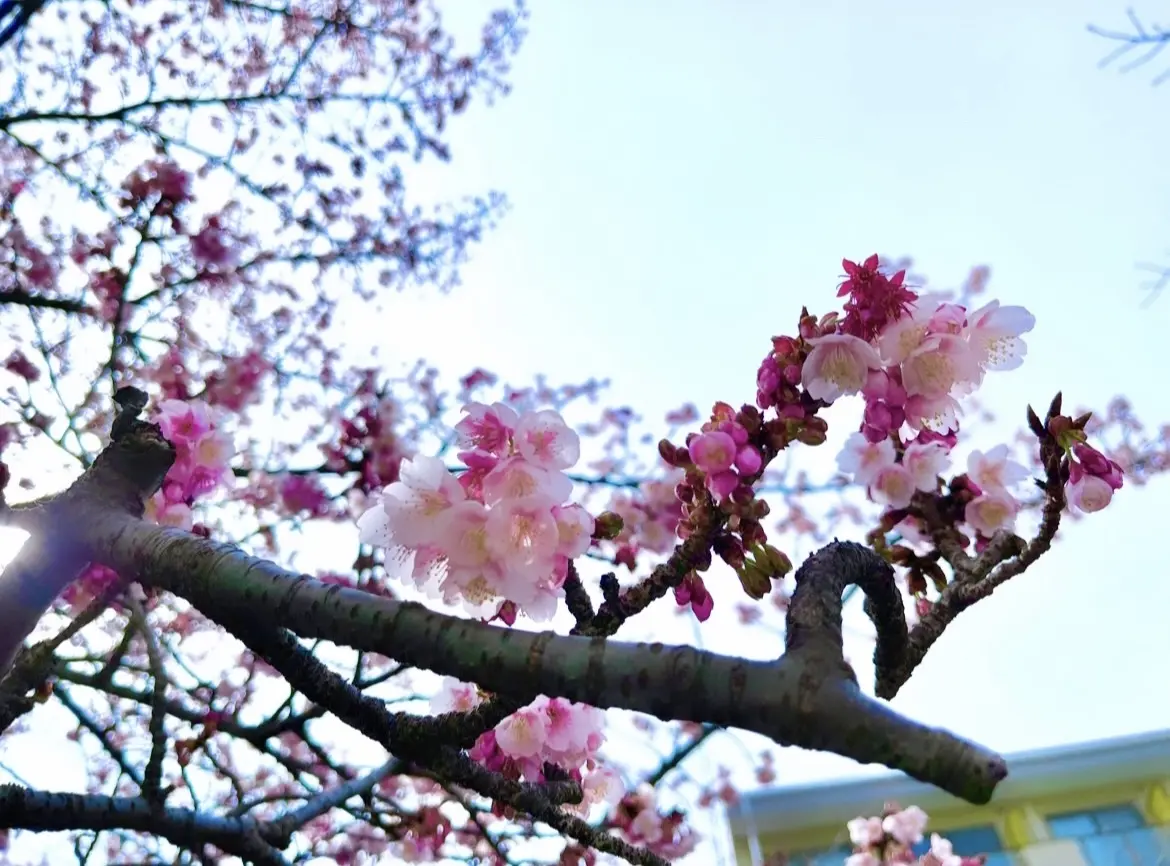 ときめくpinkフラット靴&ドット❤︎の画像_7