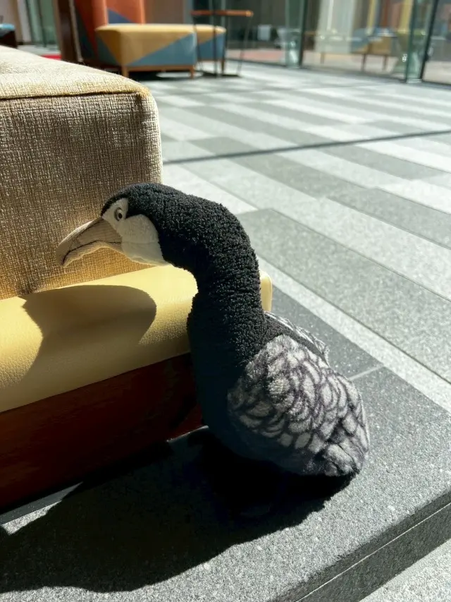 ホテルインディゴ犬山有楽苑で過ごす、癒しの画像_16