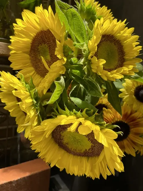 やっぱりふらっと吉祥寺への画像_1