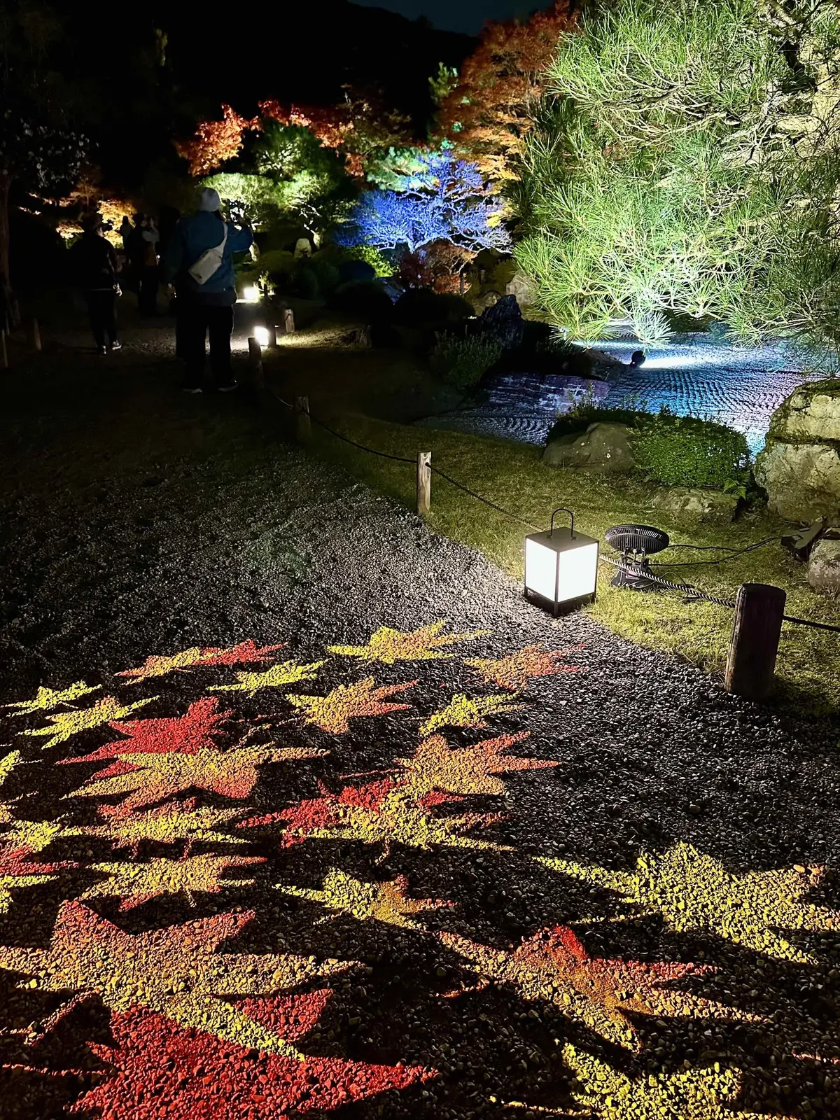 ずっと眺めていたくなる♡美しい京都紅葉2の画像_23