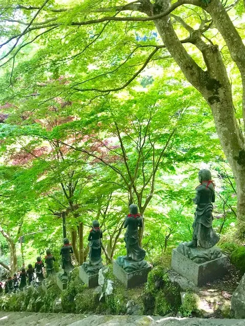 新緑の大山、茶湯寺参り。の画像_3