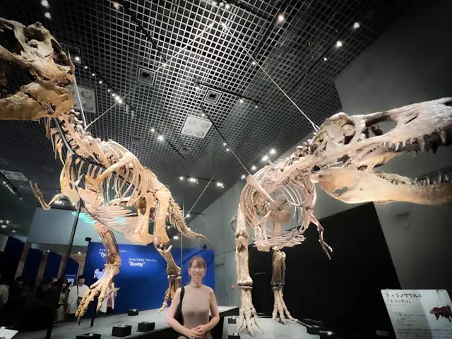 【さかぽんの冒険】ダイナソー🦖に会いに上の画像_2