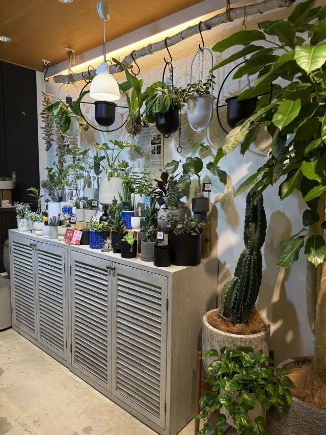 秋はモカ色のティアードワンピースで大阪満の画像_16