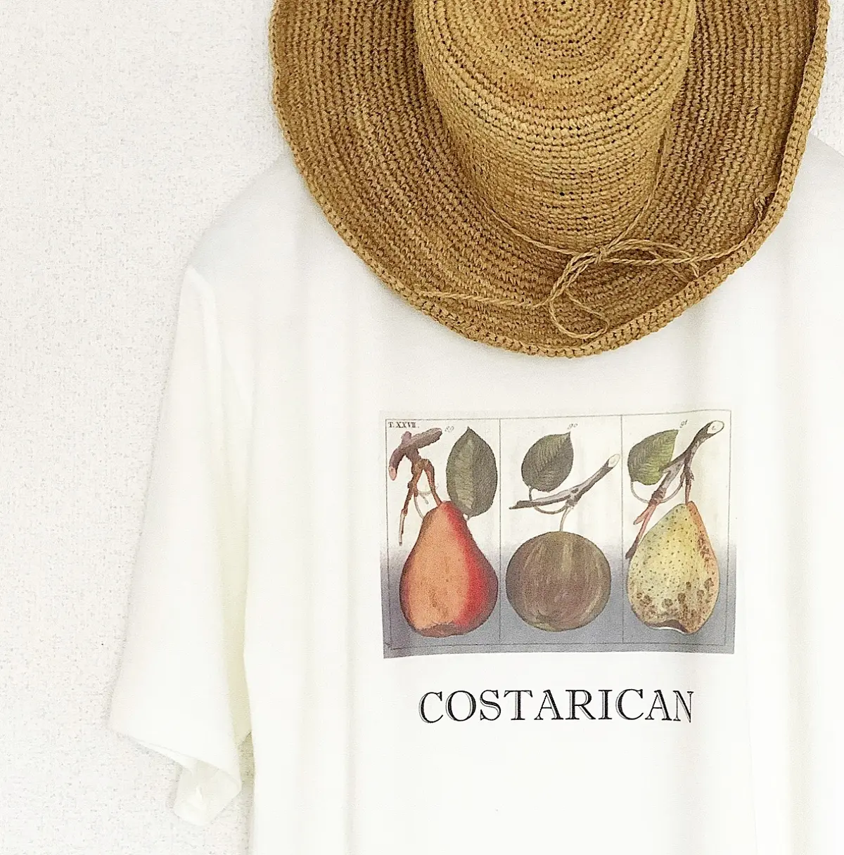 ボタニカルな本命Tシャツと、クッキー缶♡の画像_1