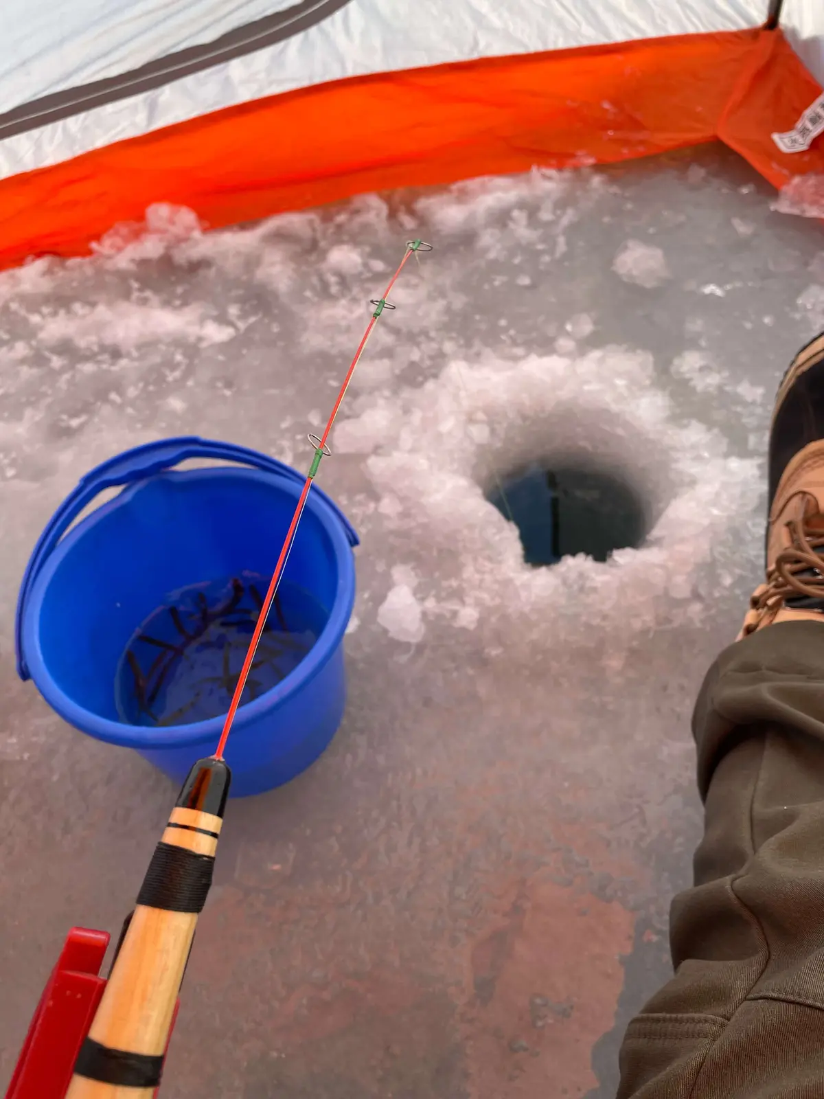 夢だった、氷上ワカサギ釣りを体験の画像_4