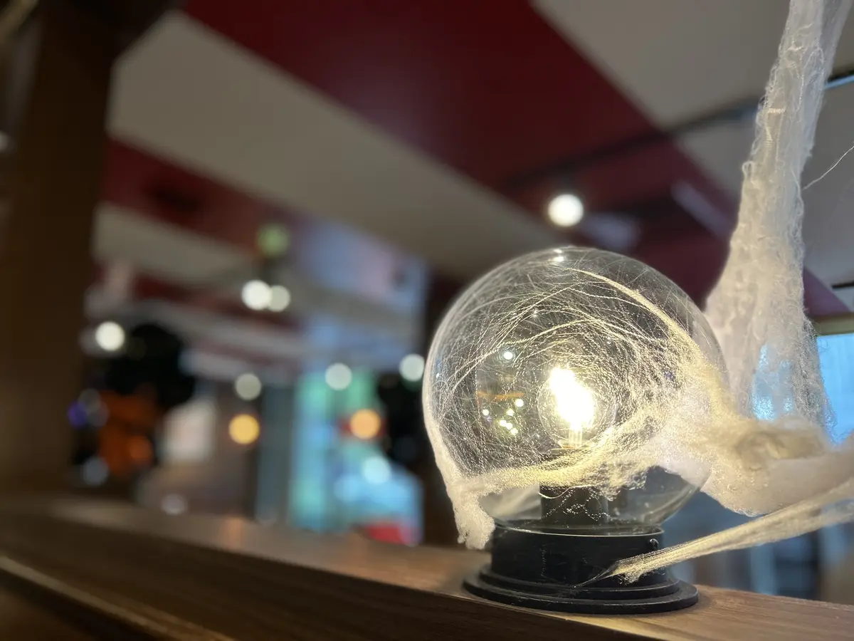 秋色シアーシャツで横浜・山下公園界隈への画像_5