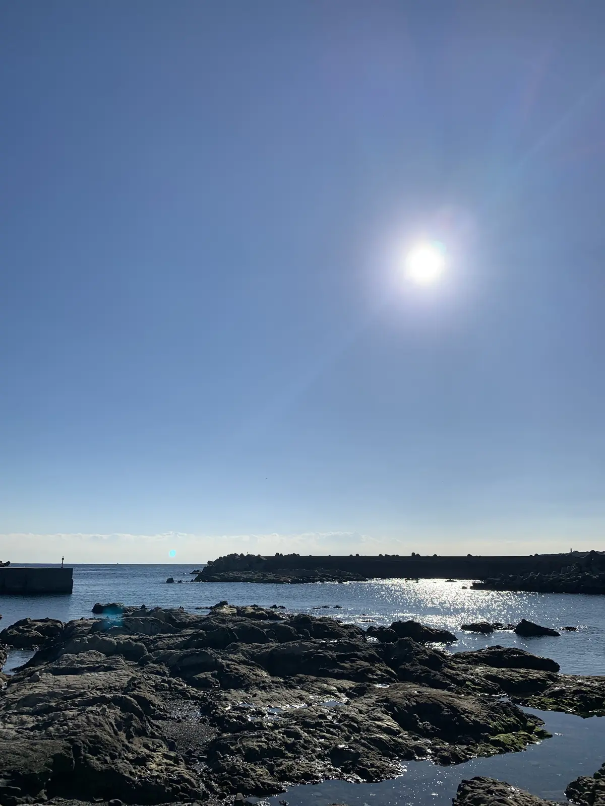 三崎　マグロ　まるよし食堂