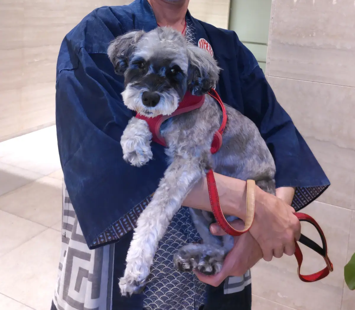 秋のお祭りの画像_2